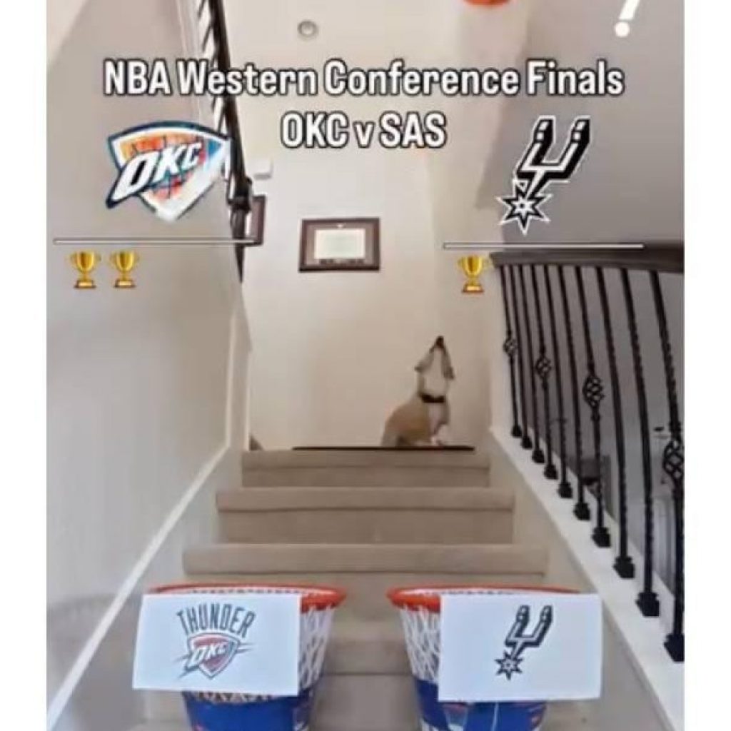 Thunder-Spurs Game 7 prediction from the corgi who picked
every game of the series correctly so far