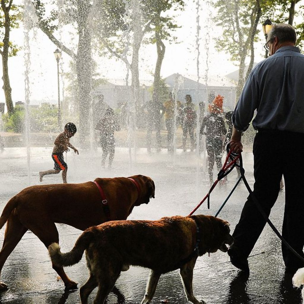 New York Is About to Feel Hotter Than Phoenix