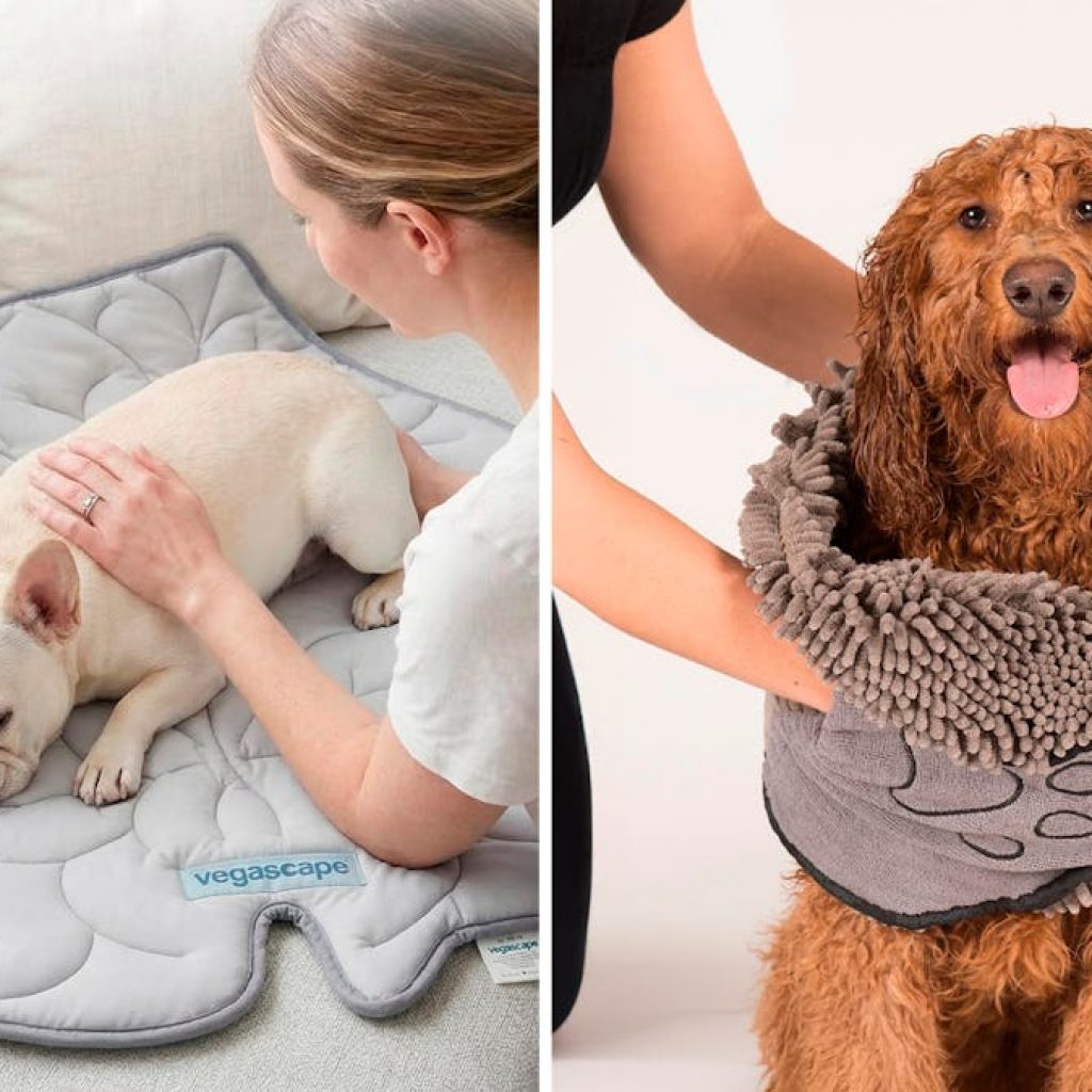 The Dopest Things For Dogs Under $25