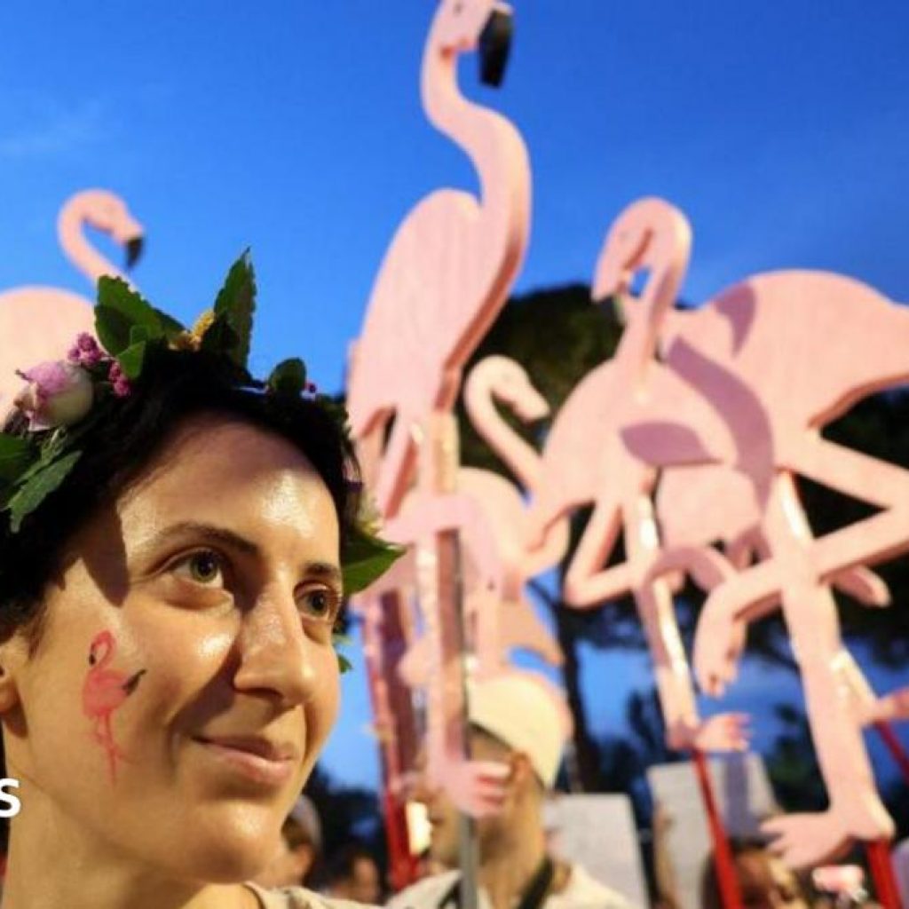 ‘Flamingo Revolution’ takes off as thousands demand Albanian
PM’s resignation
