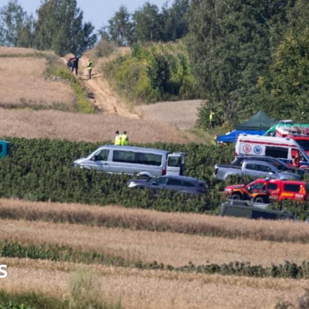 Missile that left crater deep inside Poland was probably
Russian – Polish PM