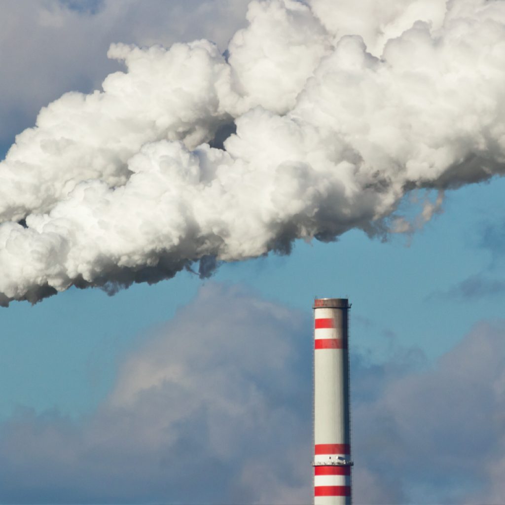 Wealth and air pollution emerge as top predictors of state autism rates