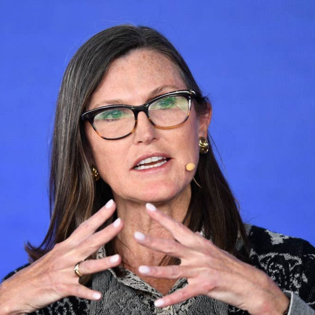 Cathie Wood buys $8.7 million of beaten-down AI stock