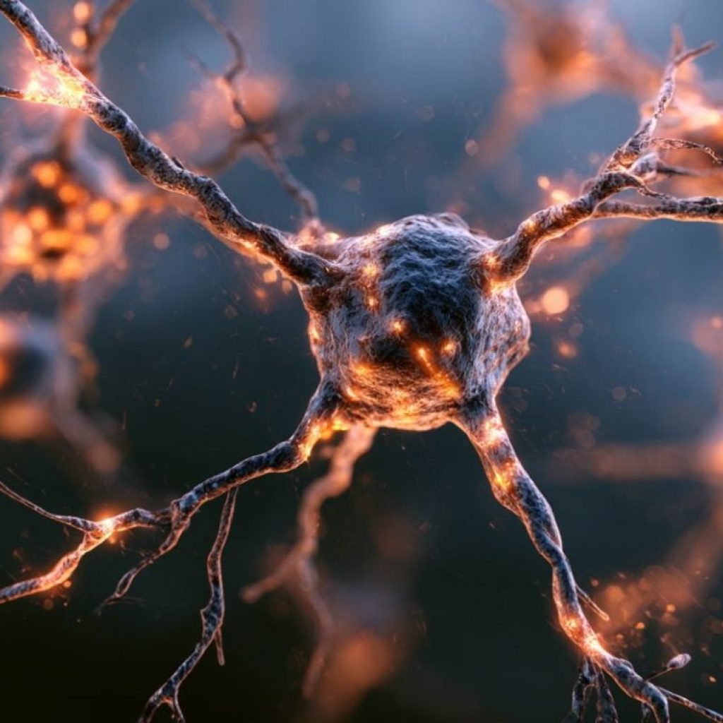 TB Vaccine Flushes Alzheimer’s Amyloid