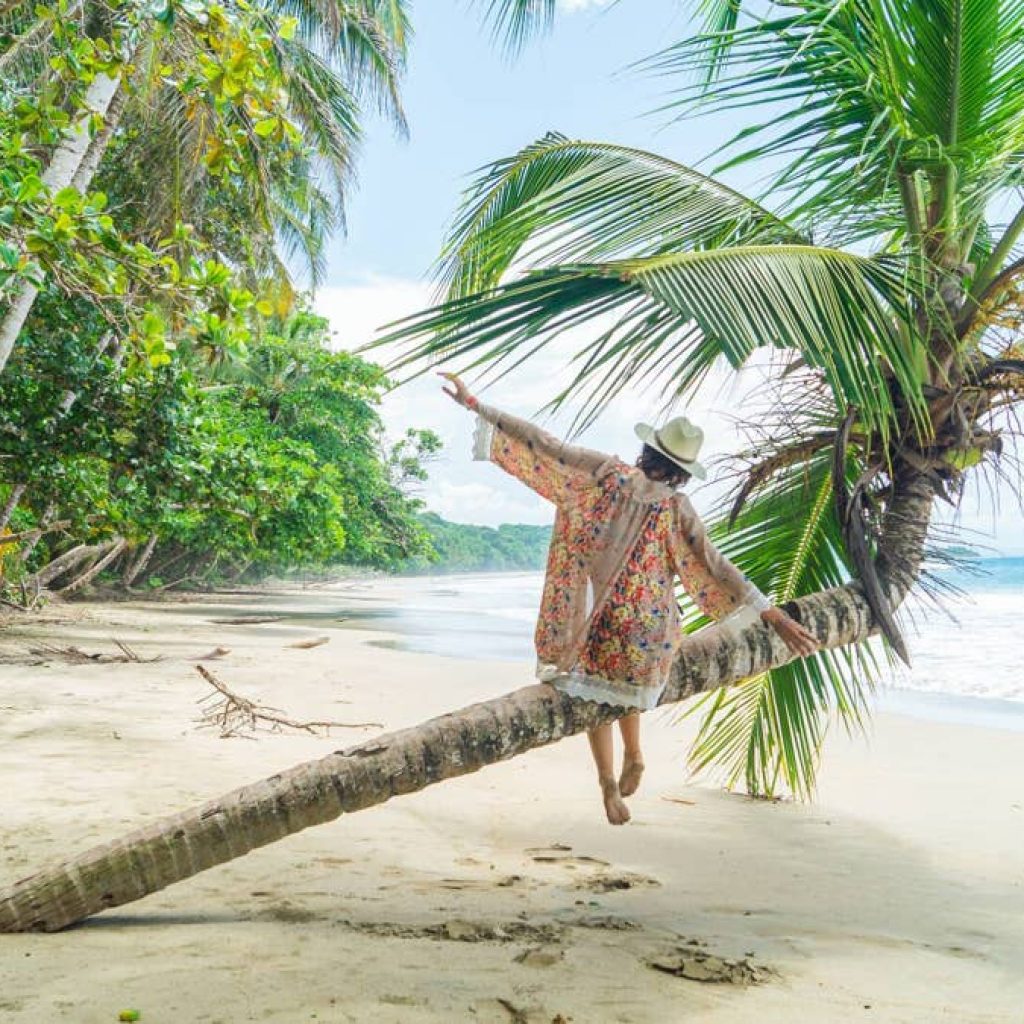 Tourists stranded after travel agency files for bankruptcy and cancels all trips