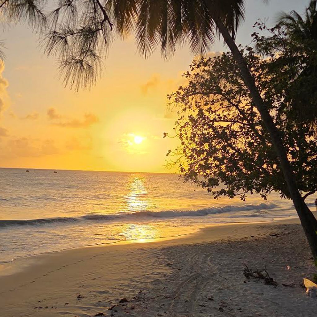 Photo of the Week: Miami Beach, Barbados