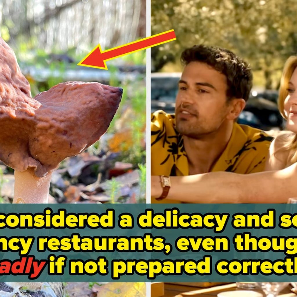 20 “Extreme” Foods From Around The World That Could Seriously Mess You Up If Consumed Improperly