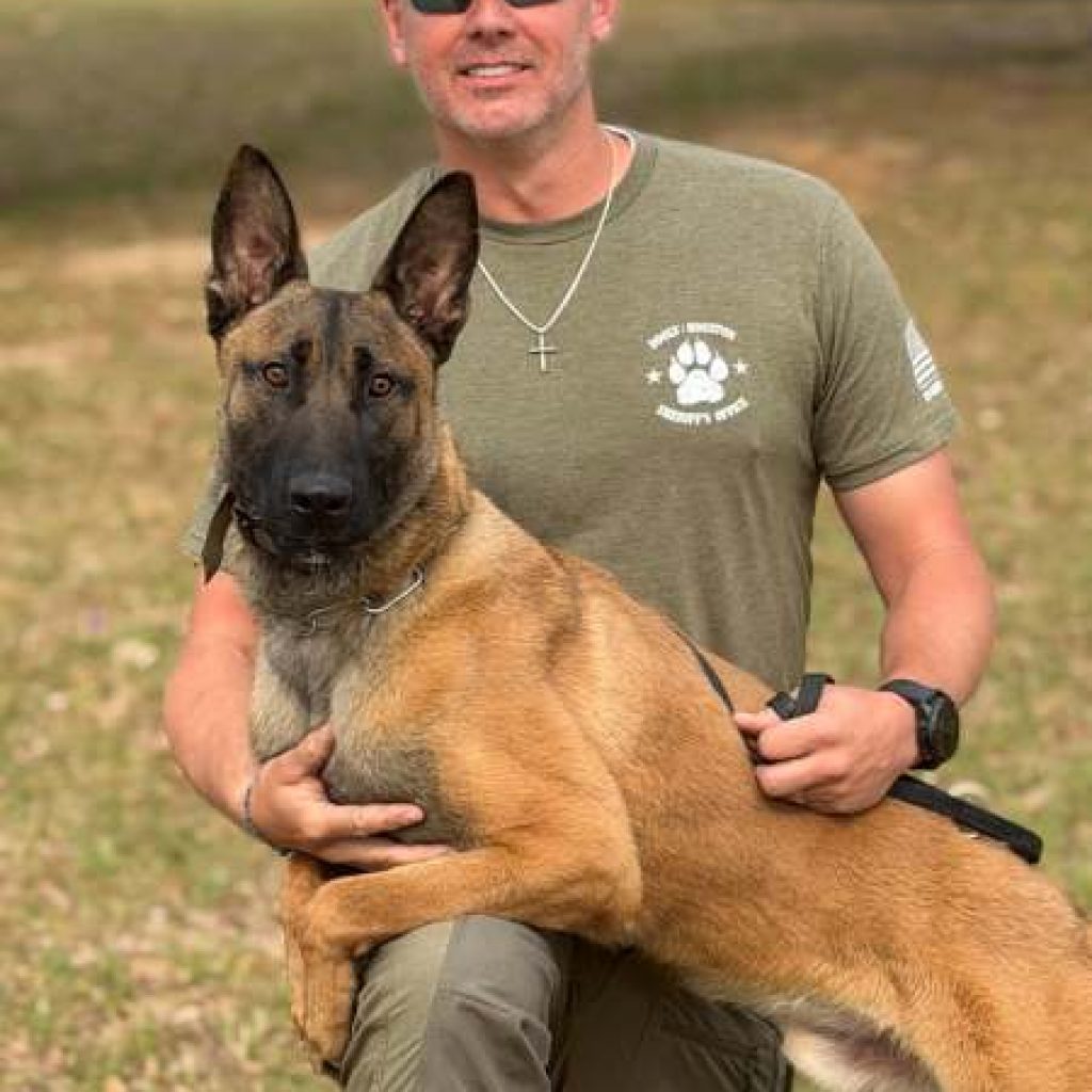 Brookhaven police introduce K-9 Recon, a new Belgian
Malinois officer