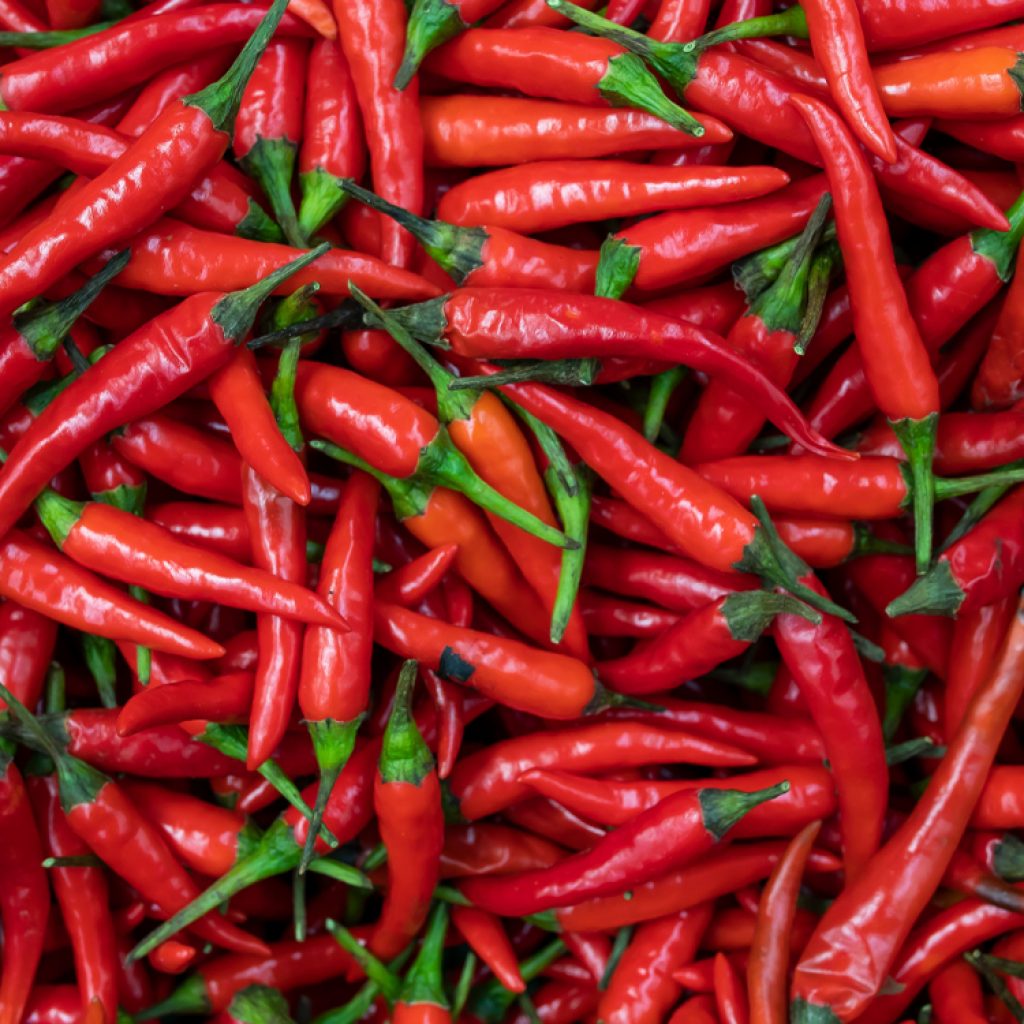 Spicy food can reduce extreme physical pain