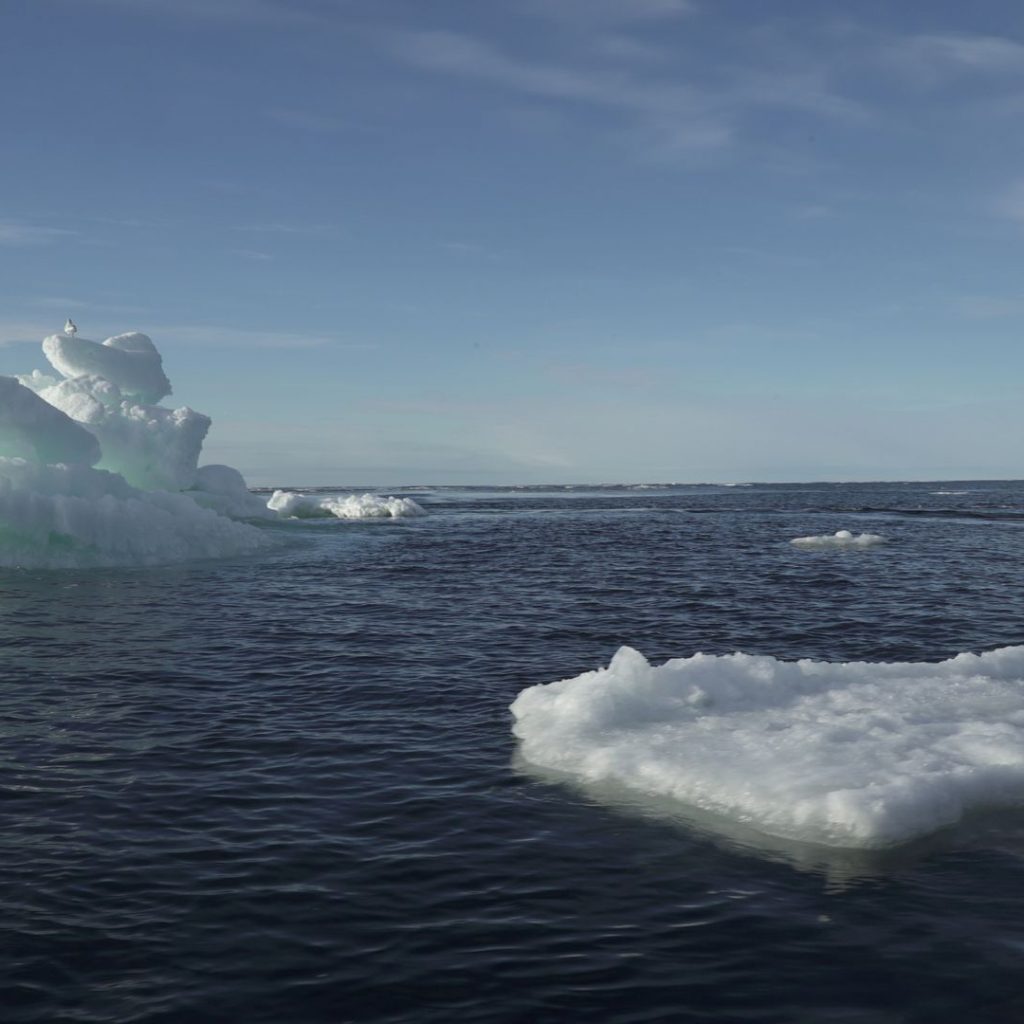 Why last two years are worrying for future of Arctic