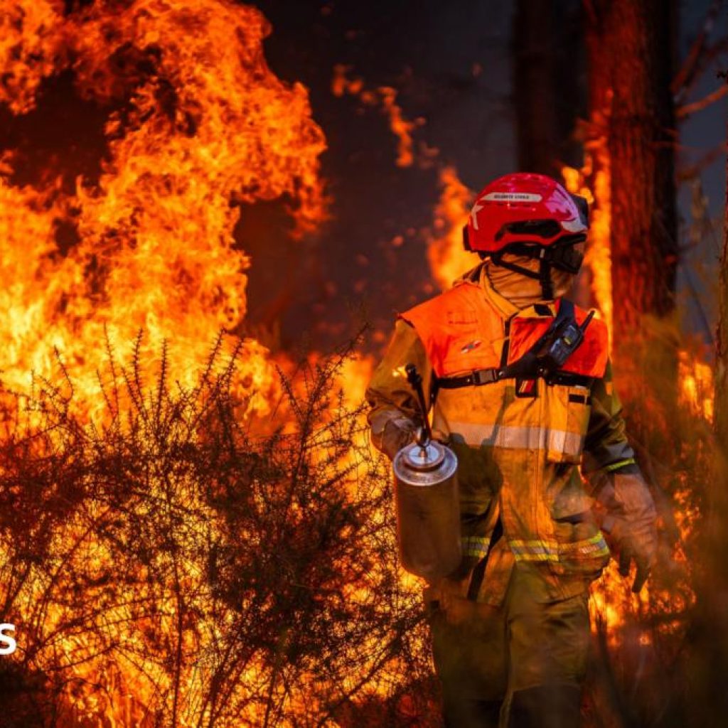 Hundreds arrested over French wildfires, but who is to
blame?