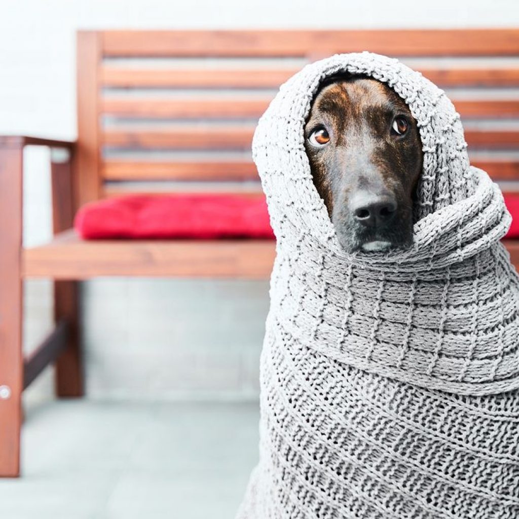 Retirement Can Scare You No Matter How Confident You Are: This Is How to Tame the Beast