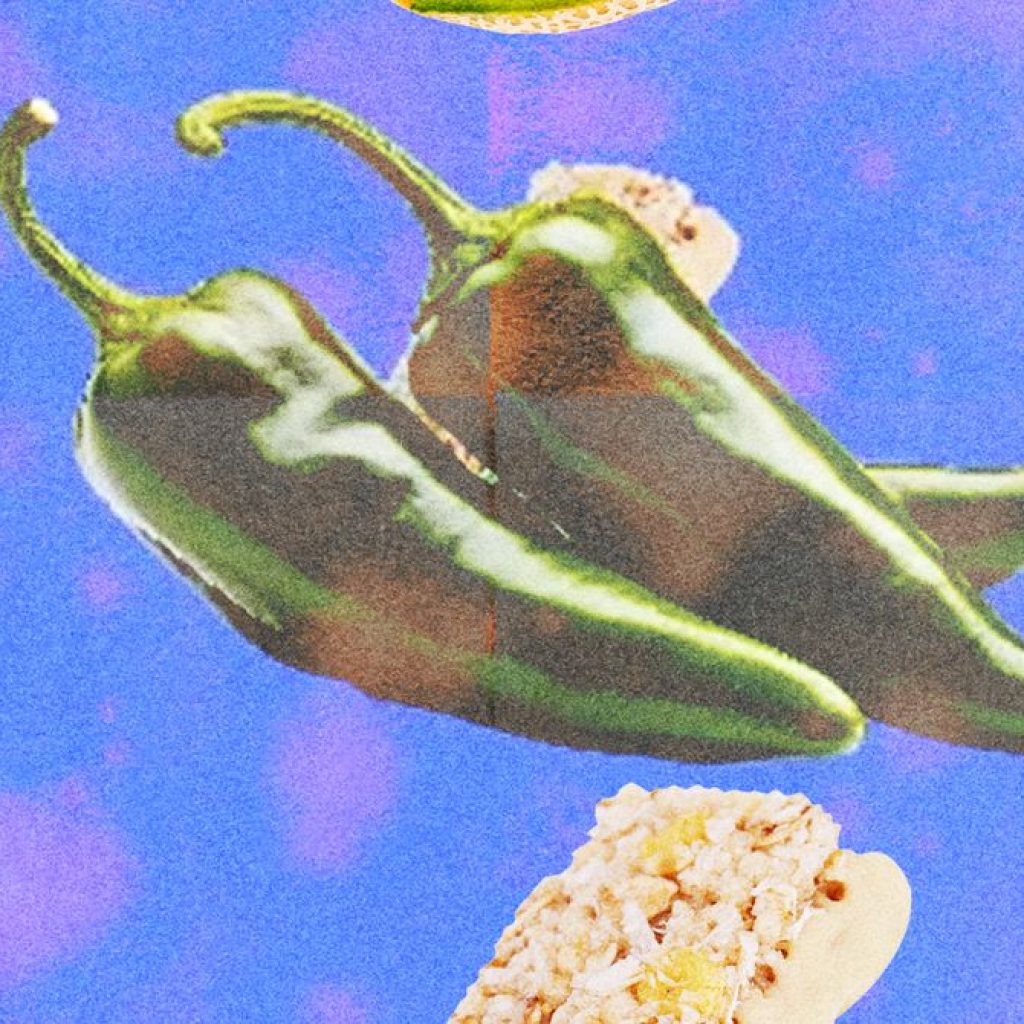 Salmonella Is Everywhere