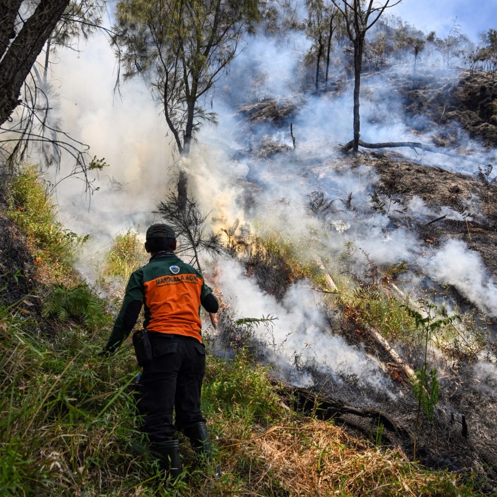 Indonesia closes national park in East Java as wildfire
expands