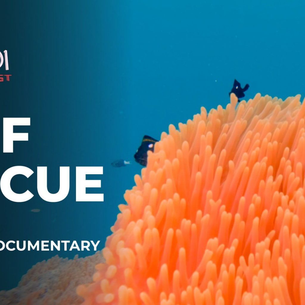Can “super coral” and cooling the sea, save reefs from
climate change?