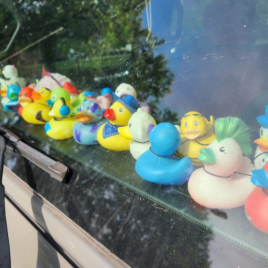 These Car Accessories Seem Like A Terrible Idea, And
Consumer Reports Usually Agrees