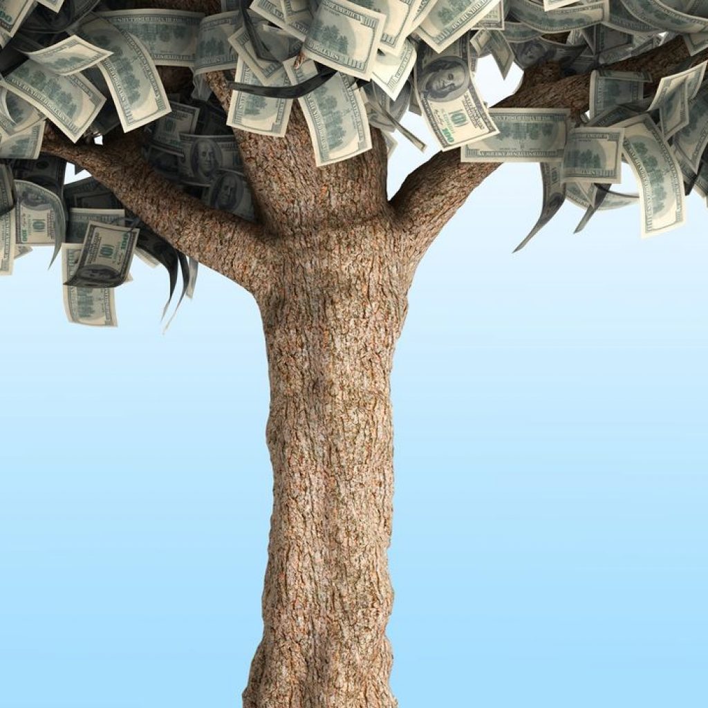 Does Your Teen Think Money Grows on Trees? 4 Ways to Gently Set Them Straight as College Starts