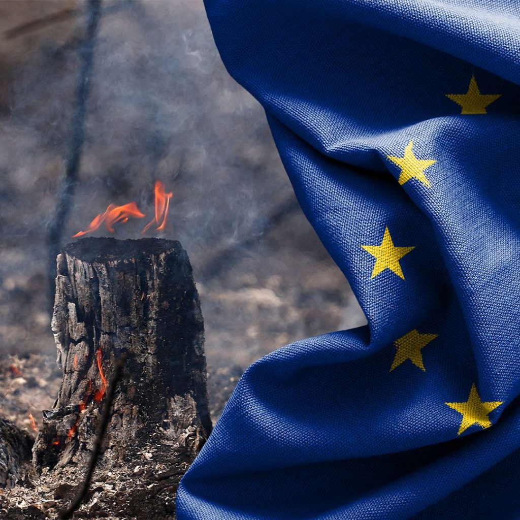 Heatwaves and energy crunch: Can Europe withstand a double
shock?