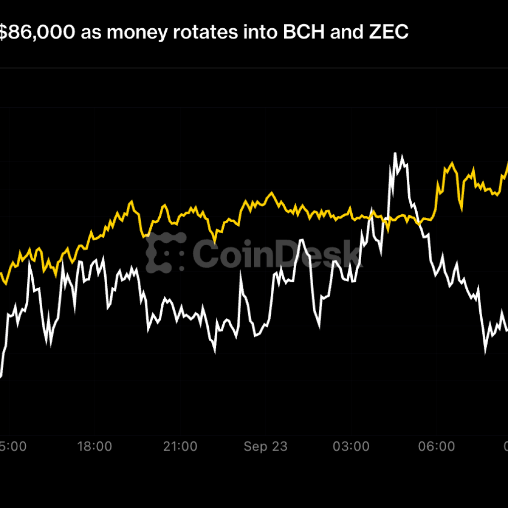 Live updates: Bitcoin slips under $86,000 as money rotates
into BCH and ZEC