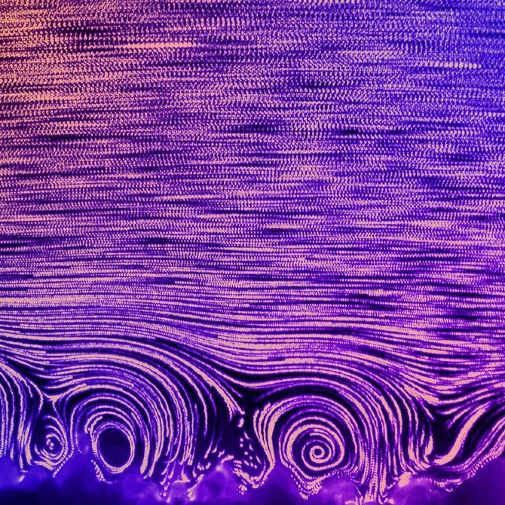 Tiny Hairs That Help Corals Breathe May Malfunction in
Warming Oceans