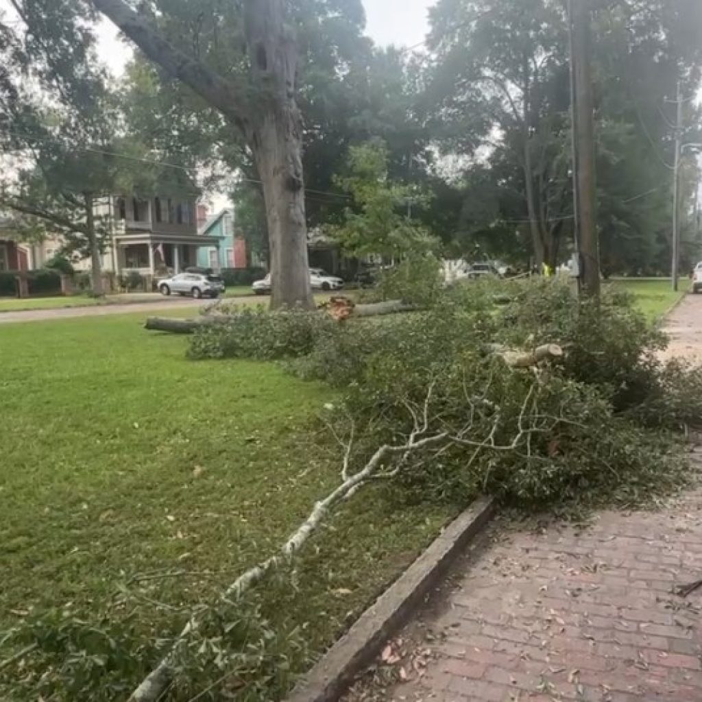 Columbus city officials provide update on Broadway damage
caused by falling limb