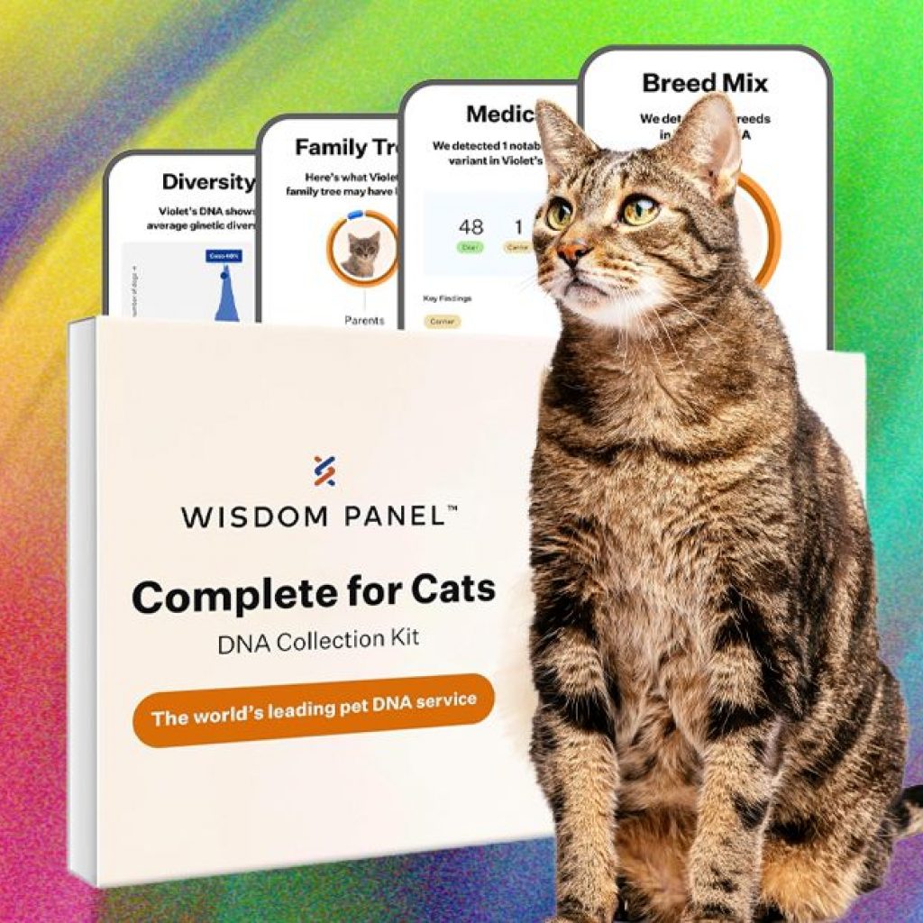 What’s the Best Pet DNA Test? We Tested the Most Popular
Ones