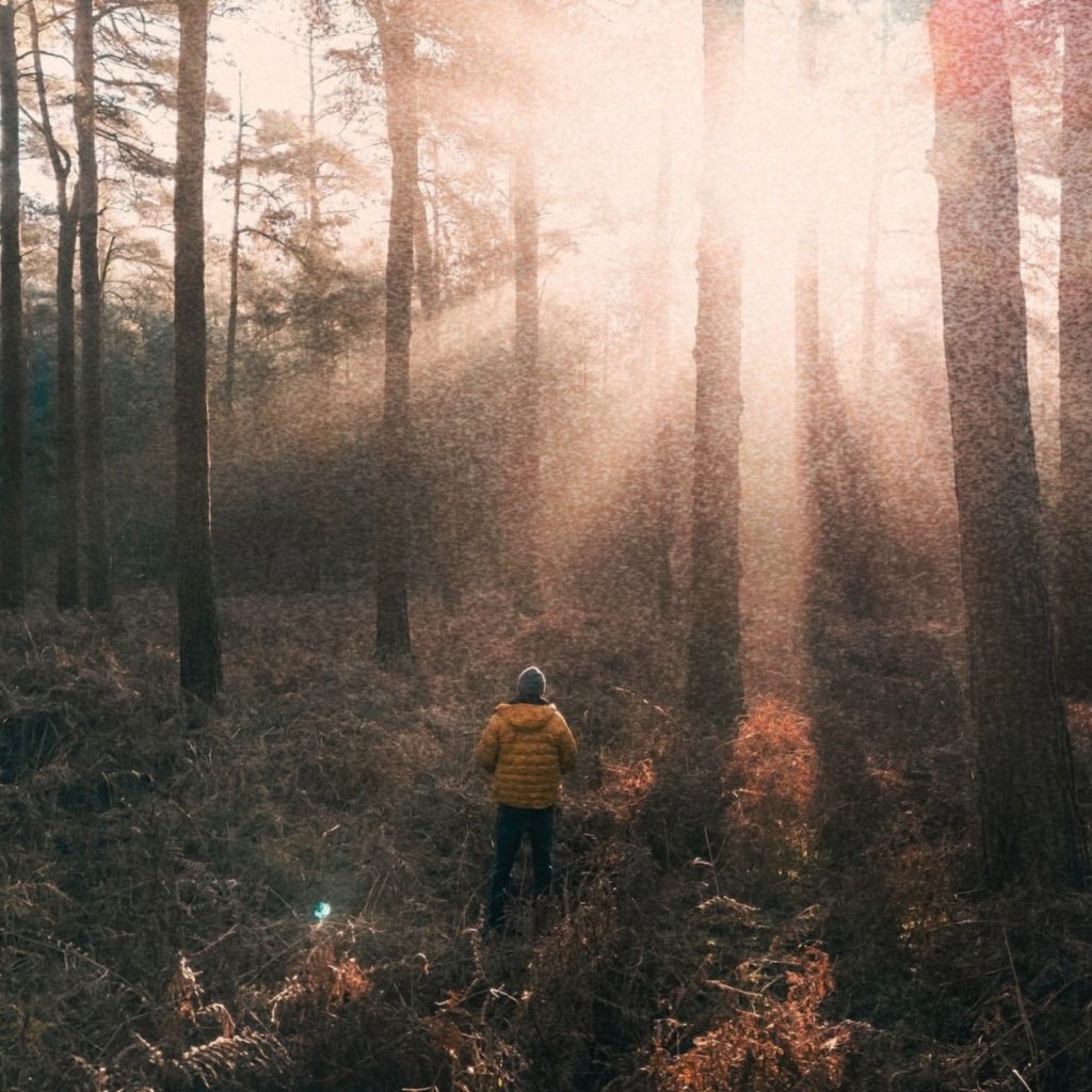 Here’s Why Your Next Latte Might Taste Like a Walk in the Woods