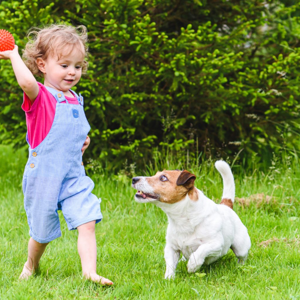Why sex differences in throwing cannot be explained by socialization alone
