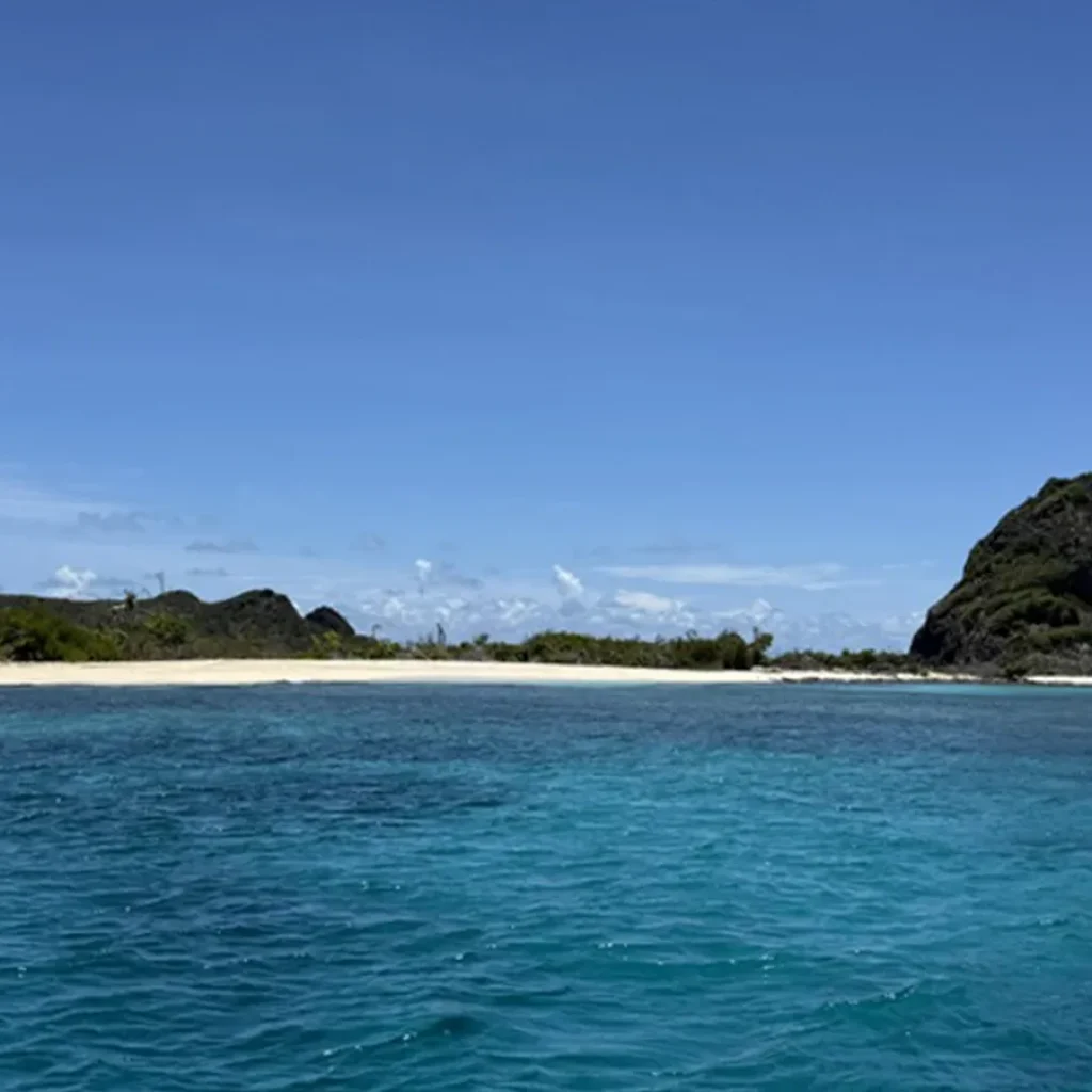 Grenada Is Hosting a Weeklong Dive Festival With Wrecks,
Reefs and Conservation Adventures