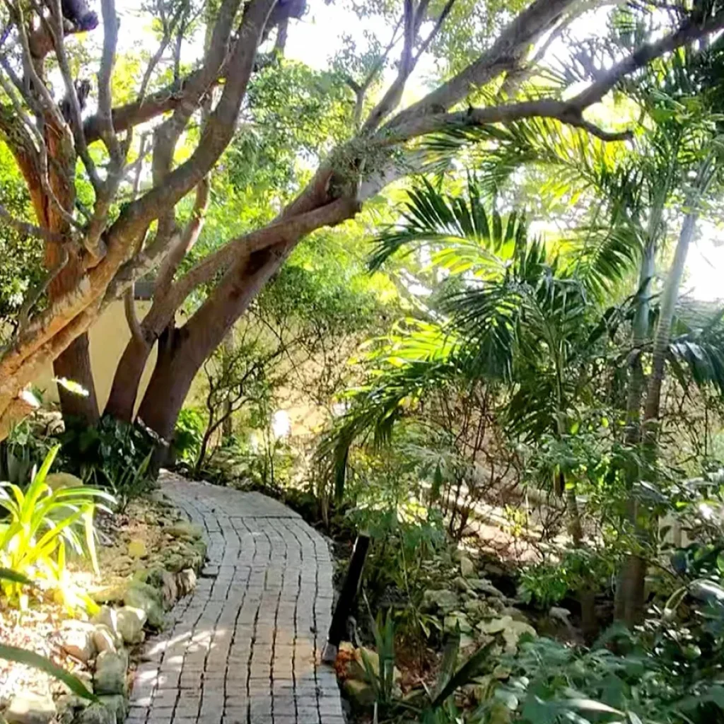 The “Greenest” Resort in Turks and Caicos Has Private
Cottages, Botanical Gardens and a Different Kind of Provo
Stay
