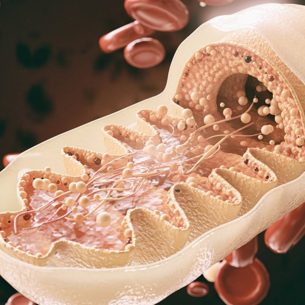 Scientists discover previously unknown “mitochondrial plaques” in Alzheimer’s disease brains