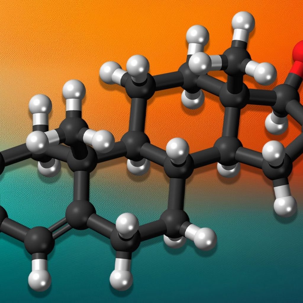 High testosterone is linked to “loss chasing” behavior after setbacks