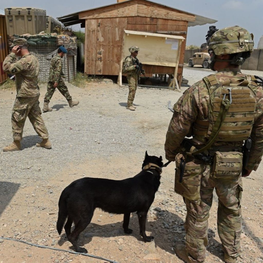 Startup pursues Palmer Luckey’s vision of genetically enhanced military dogs