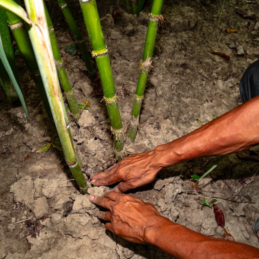 Inside India newsletter: Food crisis, economic shock ahead
as India braces for El Niño