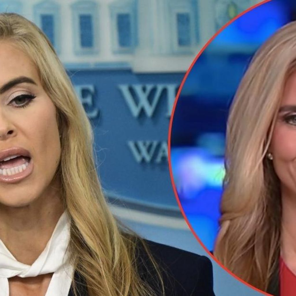 Katie Zacharia Turns on Fox News By Blaming Disastrous
Interview for her Brutal Firing