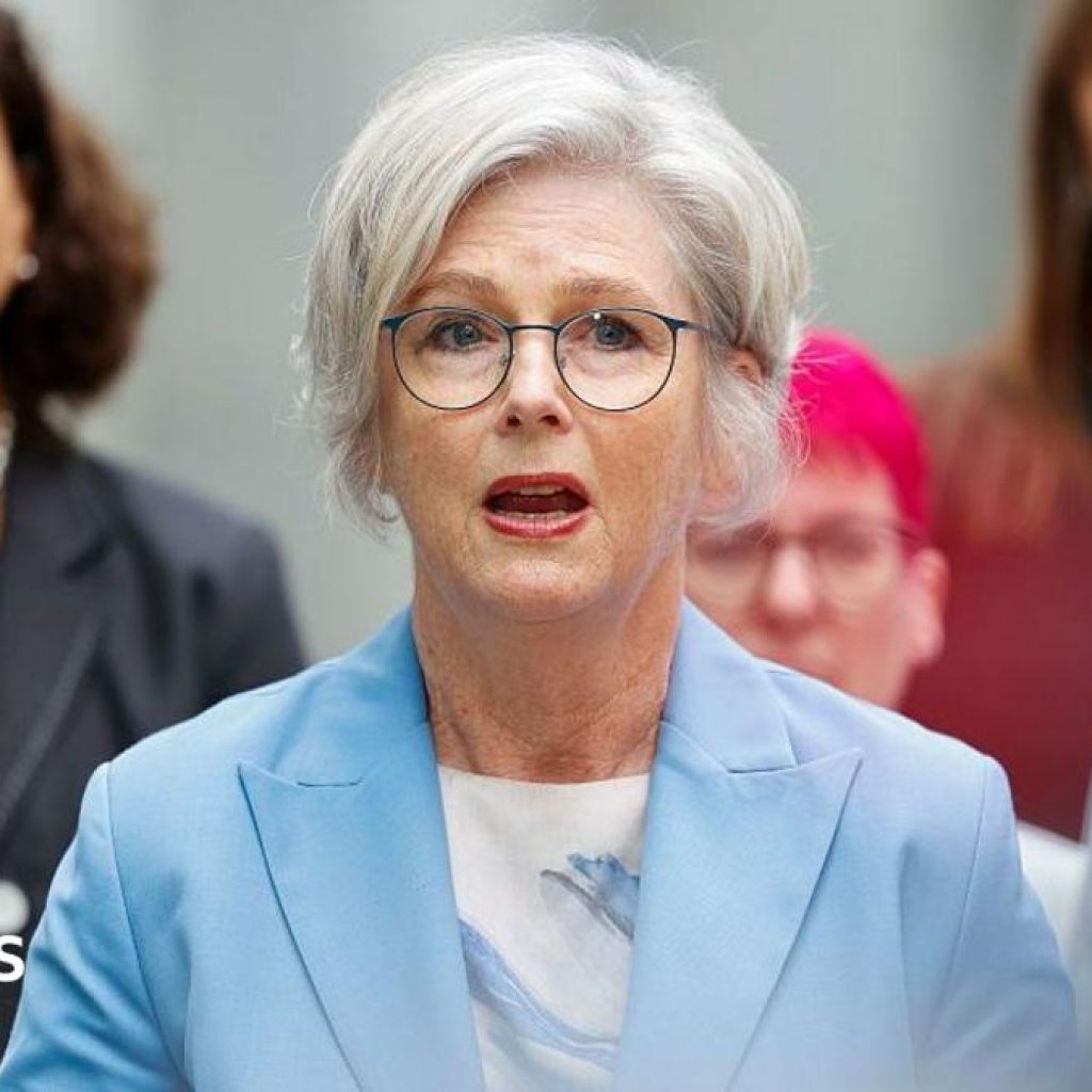 Australian MP critically injured after being hit by car in
apparent attack