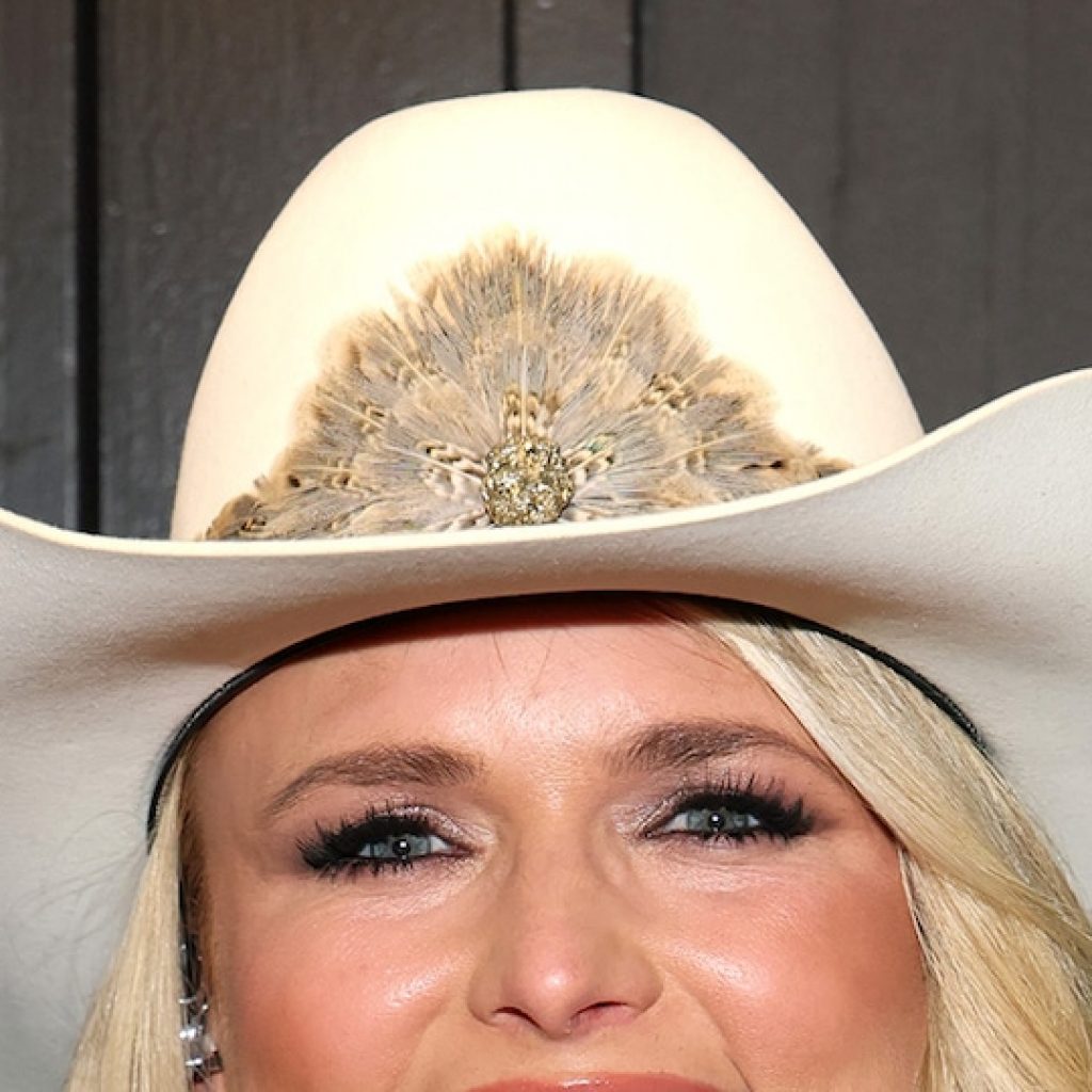 Miranda Lambert Makes Rare Comments on Blake Shelton
Divorce