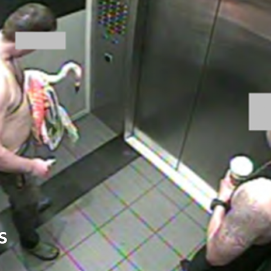 Canadian tourist found guilty of animal cruelty after
stealing Las Vegas flamingo from enclosure