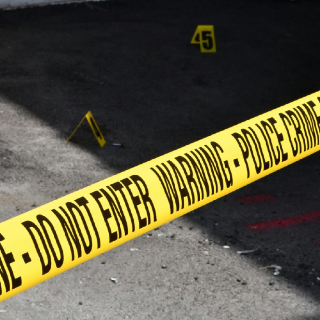 Arrests, Deportations and the Dramatic Drop in Crime
