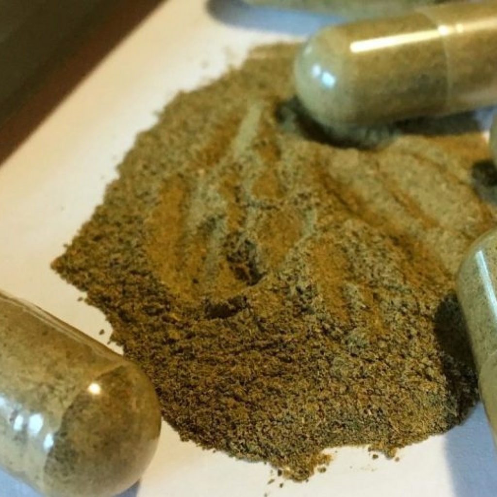 What is kratom, herb drawing scrutiny from
lawmakers?