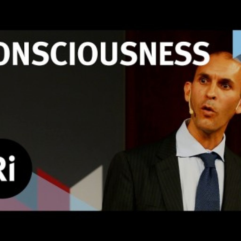 Is Consciousness A Controlled Hallucination?