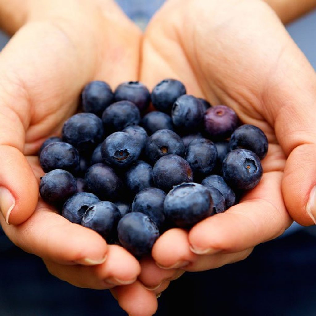 Science May Have Identified Pterostilbene as the
Fat-Torching Compound in Blueberries