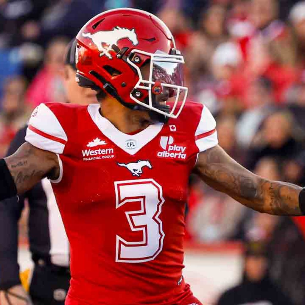Stampeders beat Lions to avoid elimination