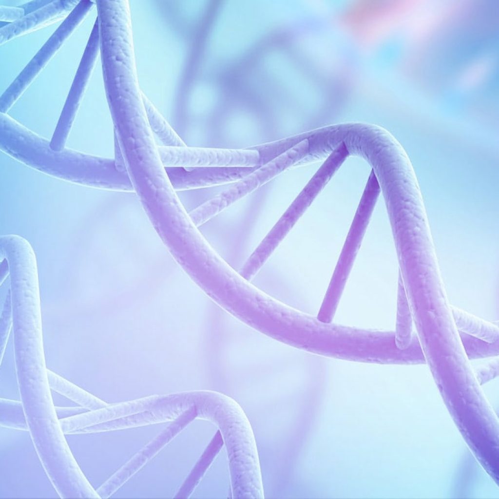 Researchers identify female-specific and male-specific genetic risks for anxiety