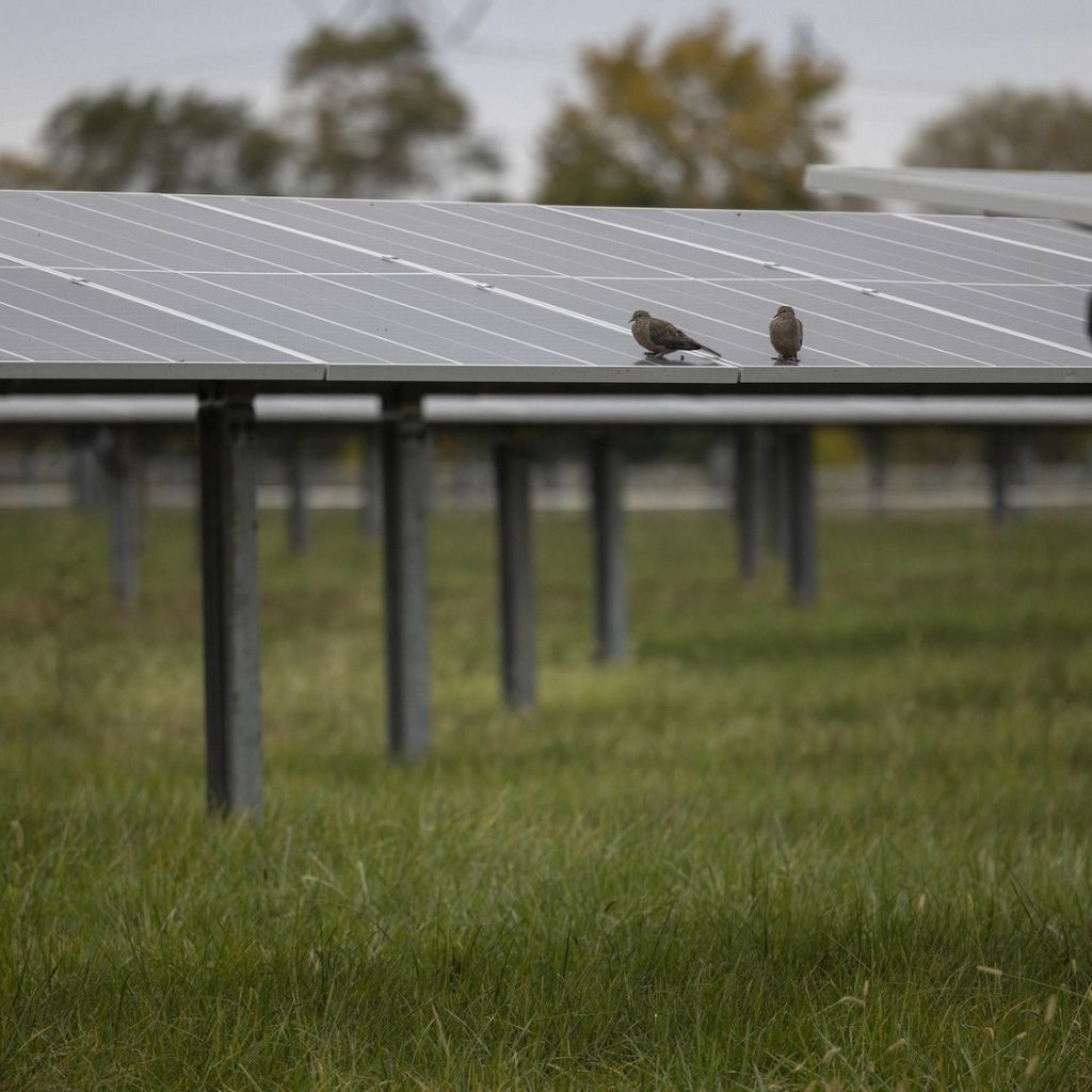 Trump Tried to Defund Them, But Green Banks Keep Financing
Clean Energy Projects