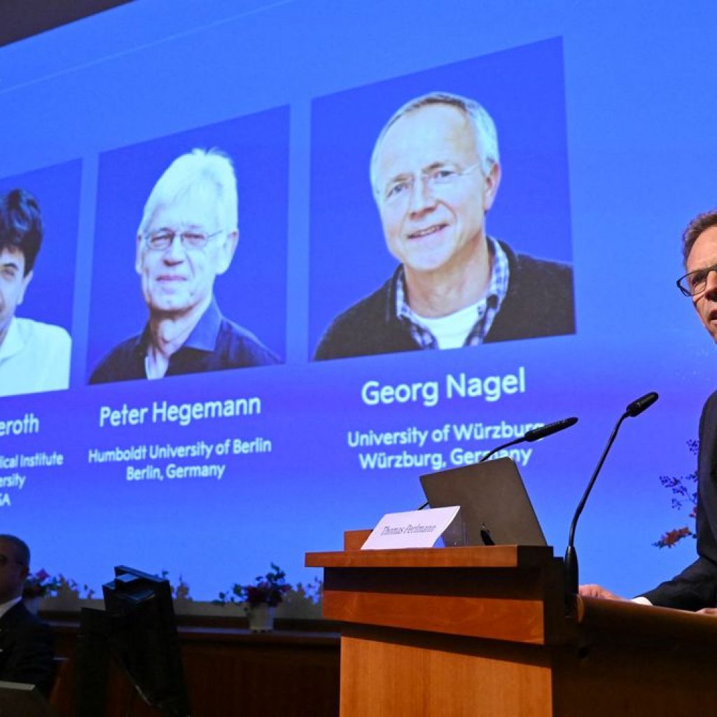 The Science Behind the Nobel-Winning Technology That
Controls Neurons With Light