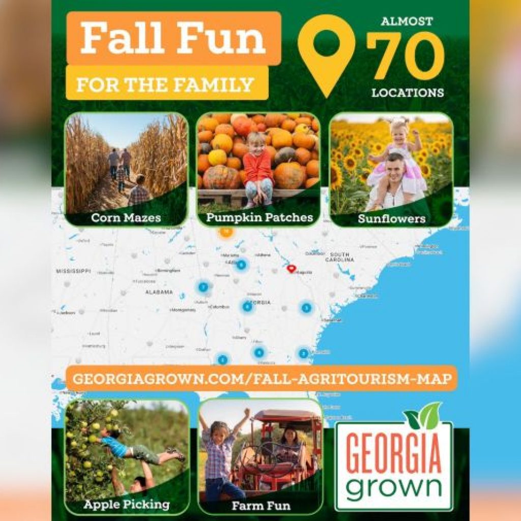 Fall fun is here: Georgia’s new map highlights pumpkin
patches, corn mazes and more