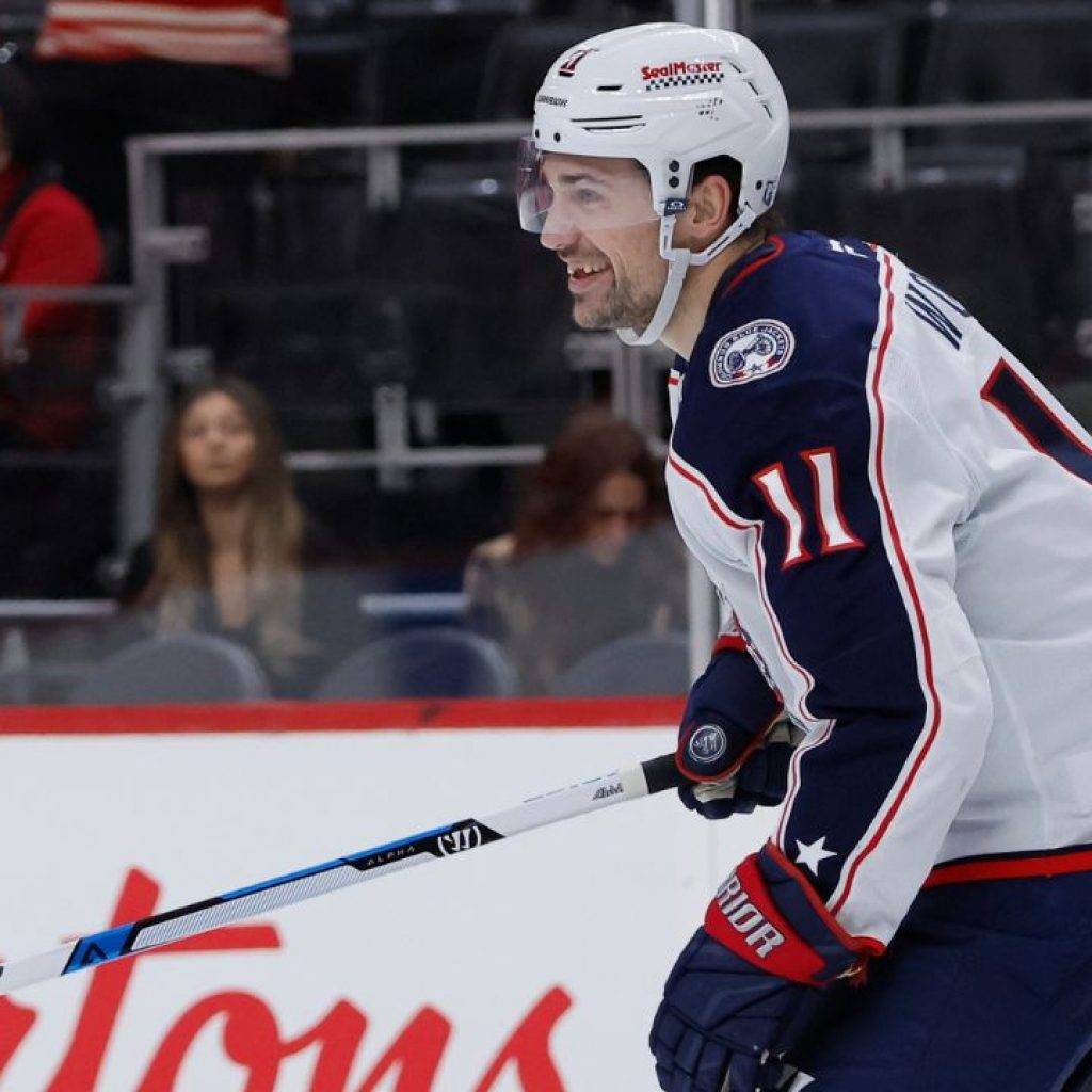 Maple Leafs call up Miles Wood from AHL