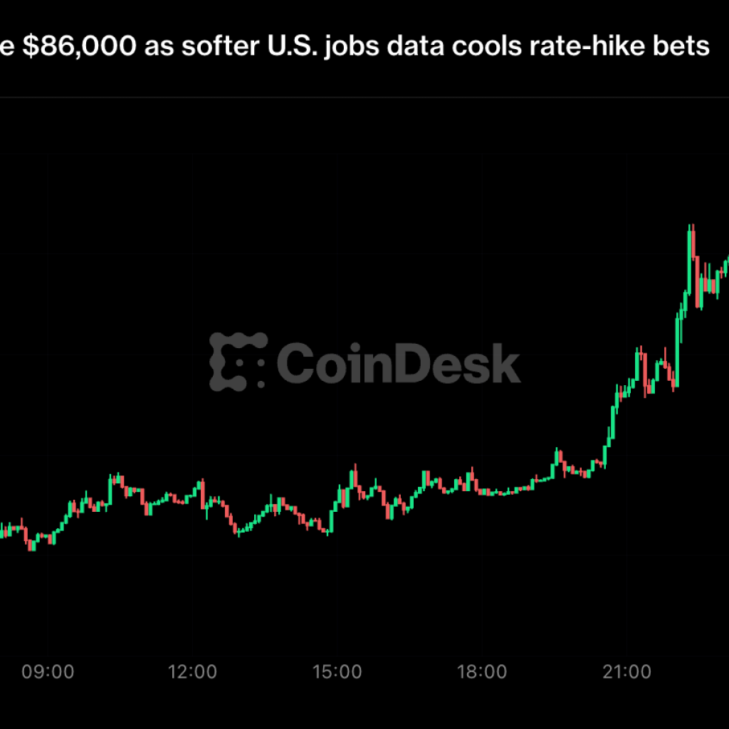 Bitcoin zooms toward $87,000, nearly setting an eight-month
high, then reverses