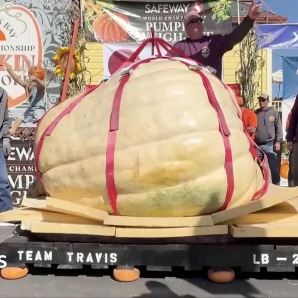 Watch: US man eyes pumpkin world record after fifth contest
win